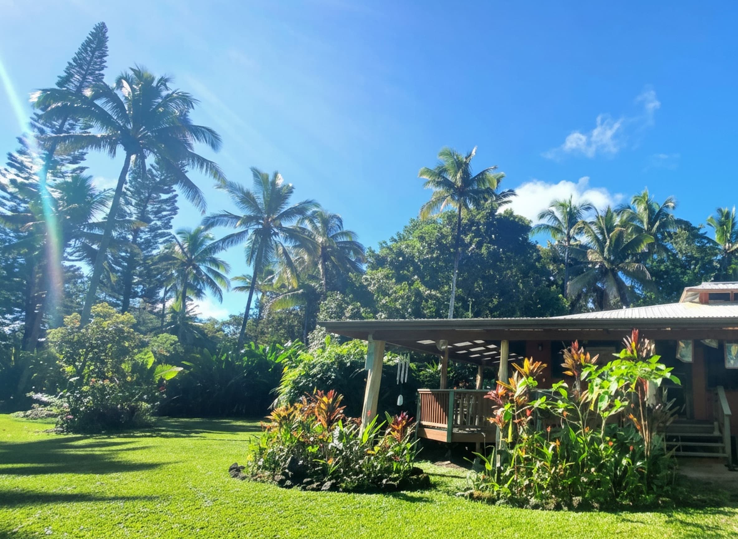 Coco Wasi tropical yard